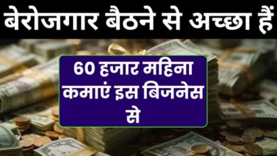 बेरोजगार बैठने से अच्छा हैं 60000 हजार महिना कमाएं: सिर्फ ₹25,000 में शुरू करें मोमोज का बिजनेस!
